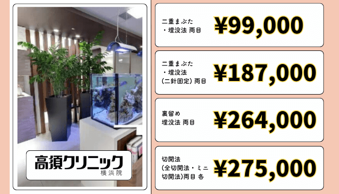 高須クリニック横浜二重整形料金