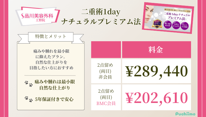 品川美容外科上野二重術1dayナチュラルプレミアム法料金