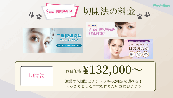 品川美容外科二重切開法料金