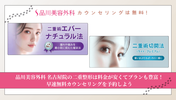 品川美容外科名古屋二重整形まとめ