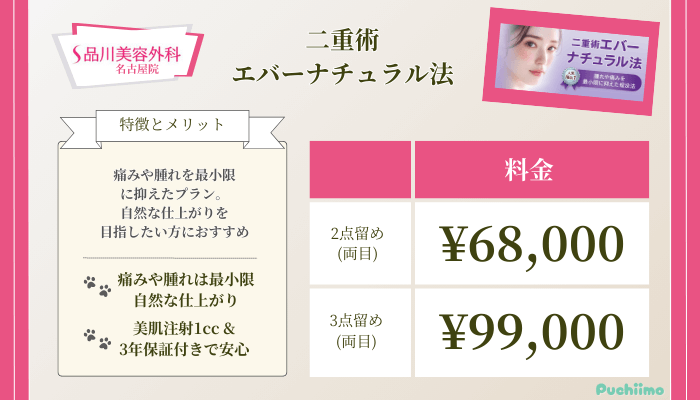 品川美容外科名古屋二重術エバーナチュラル法料金