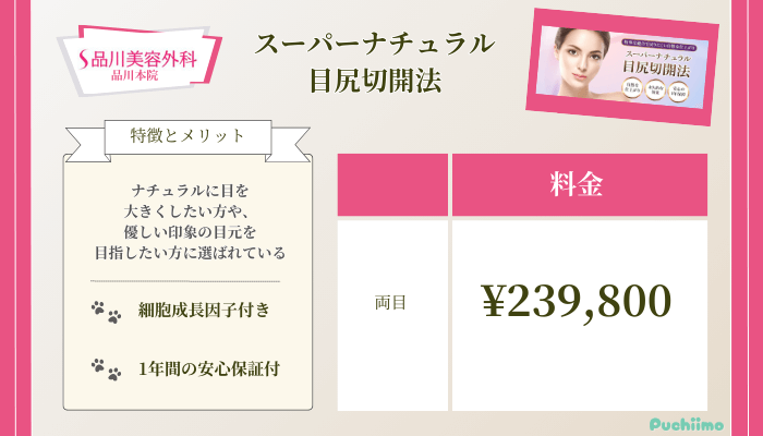 品川美容外科品川スーパーナチュラル二重術目尻切開法