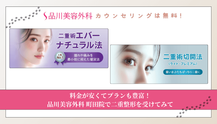 品川美容外科町田二重整形まとめ