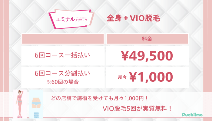 https://puchi-mo.jp/wp-content/uploads/2024/12/エミナルクリニック全身VIO脱毛料金