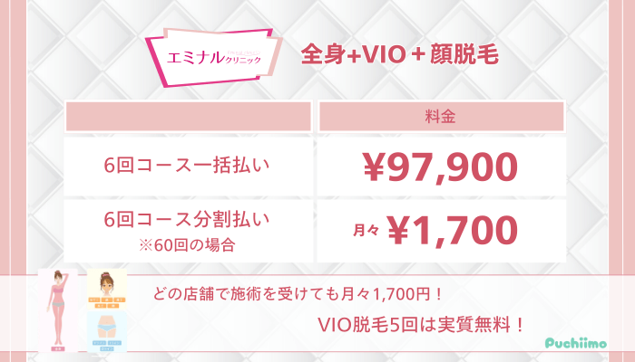 エミナルクリニック全身VIO顔脱毛料金