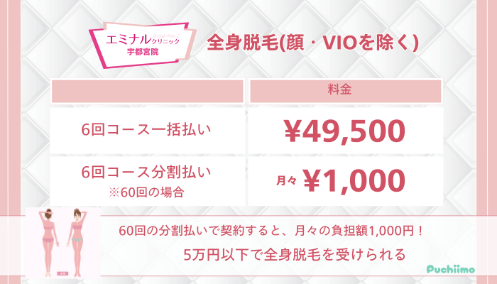 エミナルクリニック宇都宮全身脱毛顔・VIOを除く料金
