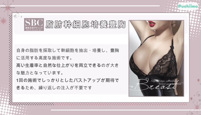 SBC脂肪幹細胞培養豊胸