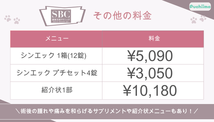 SBC豊胸その他の料金