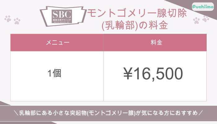 SBC豊胸モントゴメリー腺切除乳輪部料金