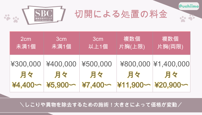 SBC豊胸切開による処置の料金
