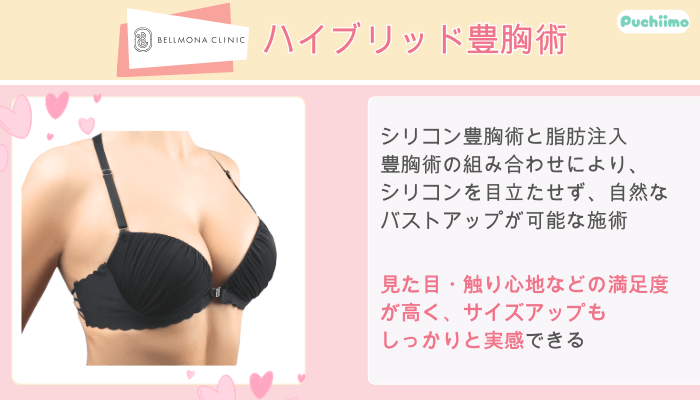 ベルモナクリニックハイブリッド豊胸術