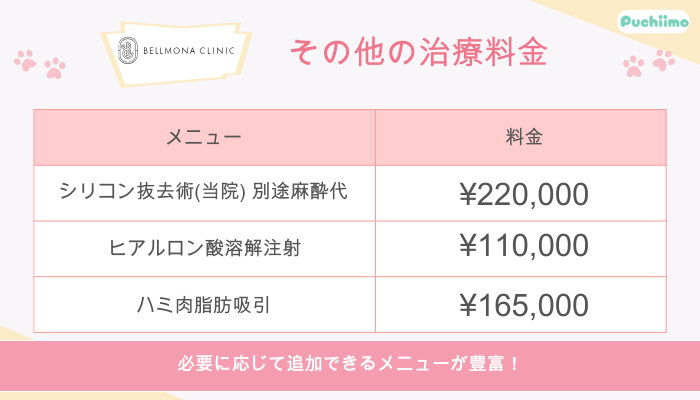 ベルモナクリニック豊胸その他の治療料金