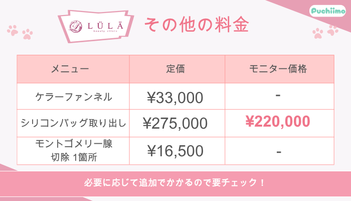 ルラ美容クリニック豊胸その他の料金料金