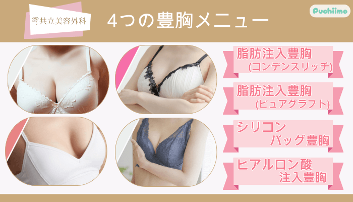共立美容外科4つの豊胸メニュー