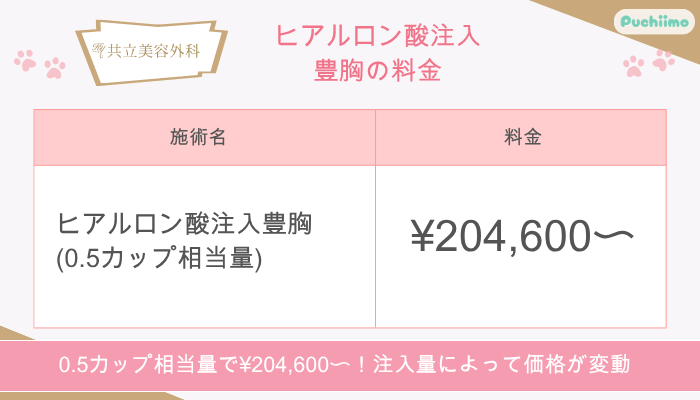 共立美容外科ヒアルロン酸注入豊胸料金