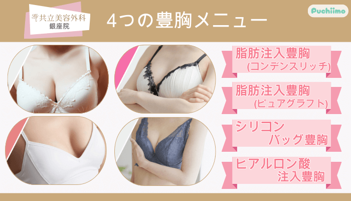 共立美容外科銀座4つの豊胸メニュー