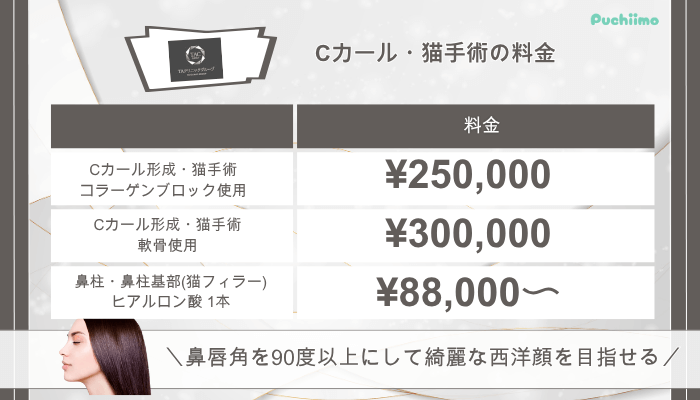 TAクリニック鼻整形Cカール・猫手術料金