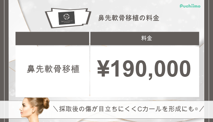 TAクリニック鼻整形鼻先軟骨移植料金
