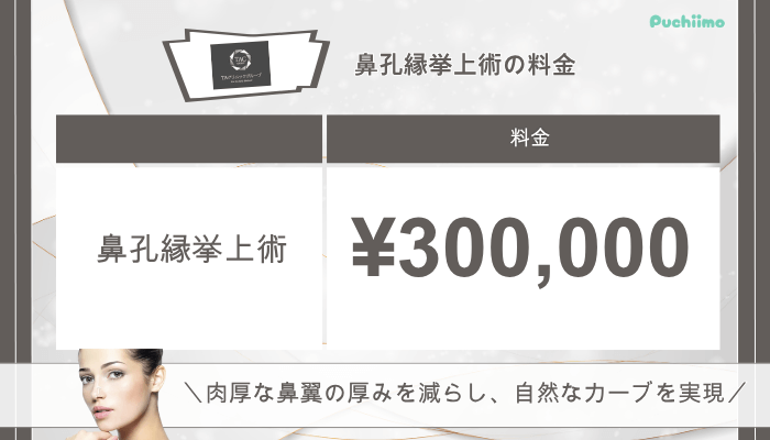 TAクリニック鼻整形鼻孔縁挙上術料金
