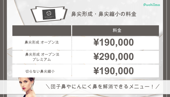 TAクリニック鼻整形鼻尖形成・鼻尖縮小料金