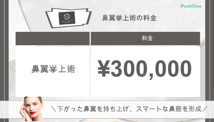 TAクリニック鼻整形鼻翼挙上術料金