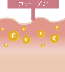 クリニックフォアダーマペン仕組み2