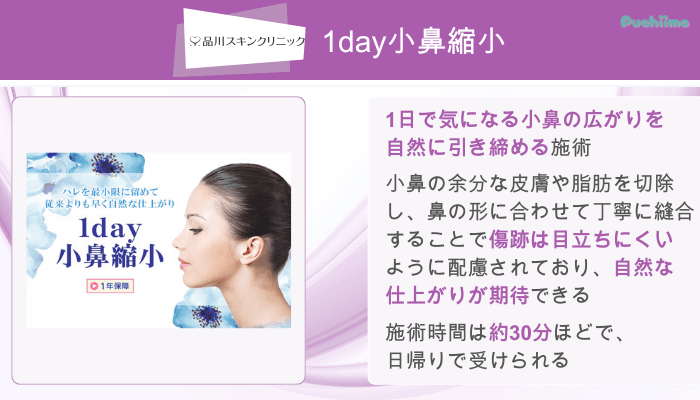 品川スキンクリニック鼻整形1day小鼻縮小