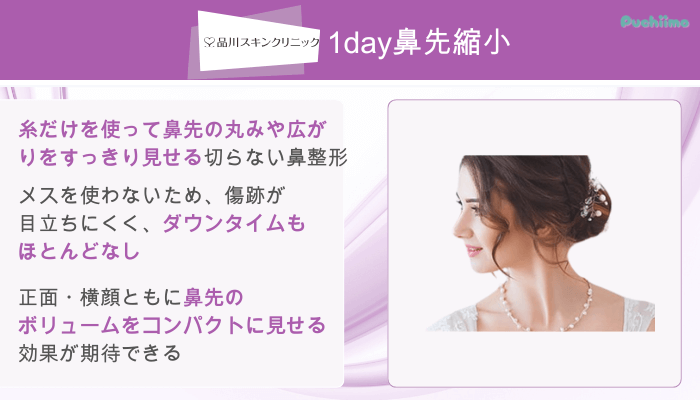 品川スキンクリニック鼻整形1day鼻先縮小