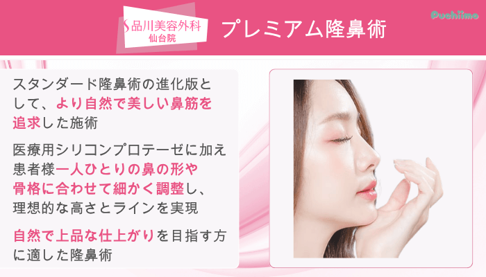 品川美容外科仙台鼻整形プレミアム隆鼻術
