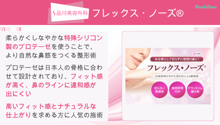 品川美容外科鼻整形フレックス・ノーズ®