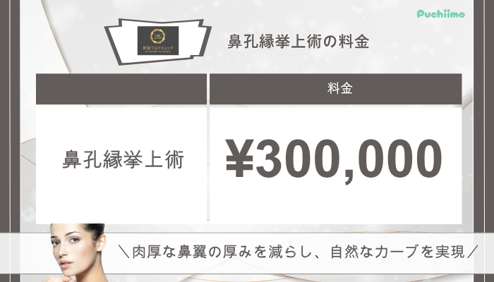 新宿TAクリニック鼻整形鼻孔縁挙上術料金