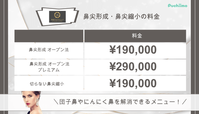 新宿TAクリニック鼻整形鼻尖形成・鼻尖縮小料金