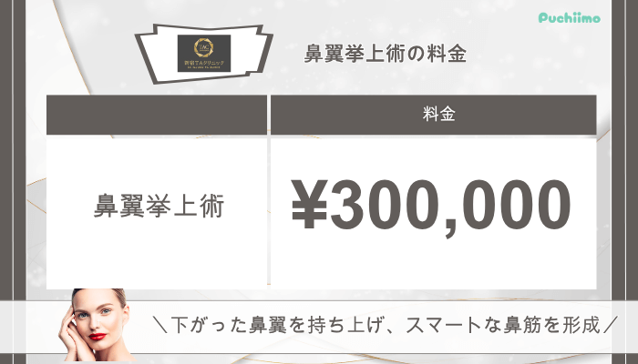 新宿TAクリニック鼻整形鼻翼挙上術料金