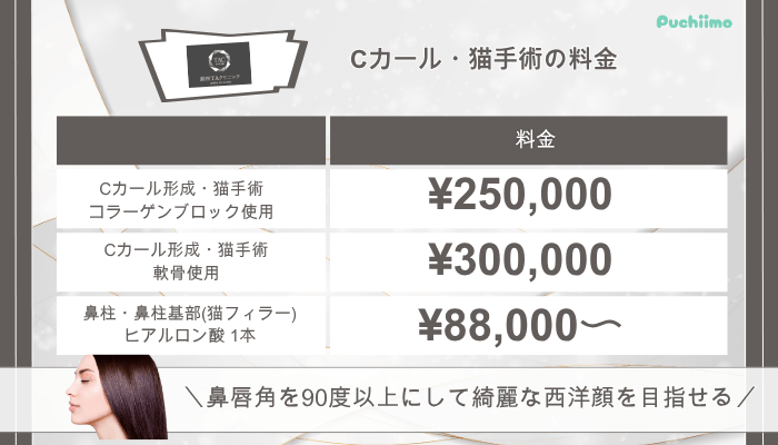 銀座TAクリニック鼻整形Cカール・猫手術料金