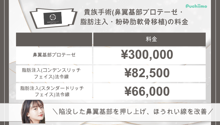 銀座TAクリニック鼻整形貴族手術料金