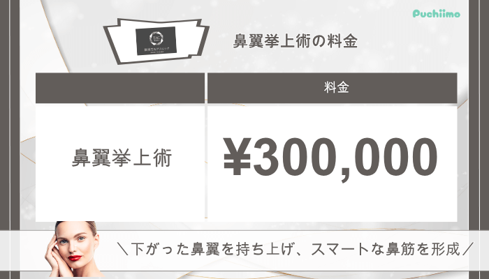 銀座TAクリニック鼻整形鼻翼挙上術料金