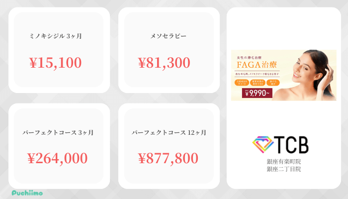 TCBFAGA銀座比較料金