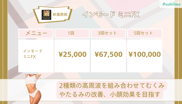 やさしい美容皮膚科・皮フ科-秋葉原院インモード-ミニFX