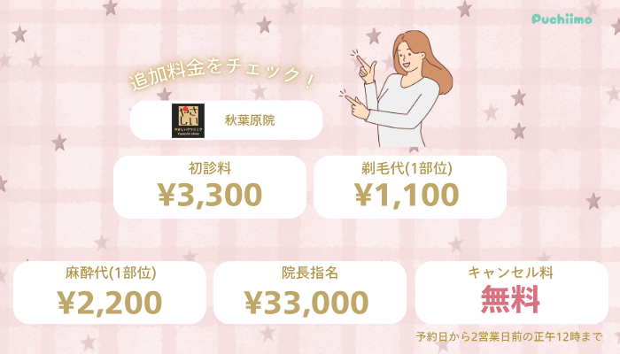 やさしい美容皮膚科・皮フ科-秋葉原院追加料金