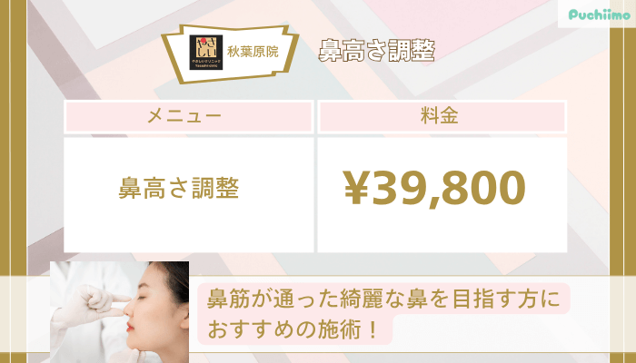 やさしい美容皮膚科・皮フ科-秋葉原院鼻高さ調整