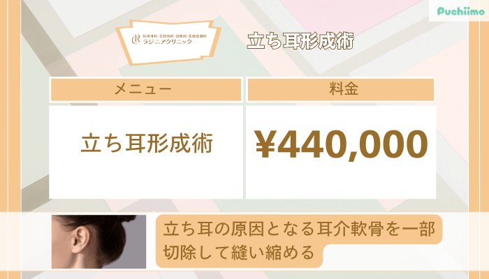 ラジニアクリニック立ち耳形成術