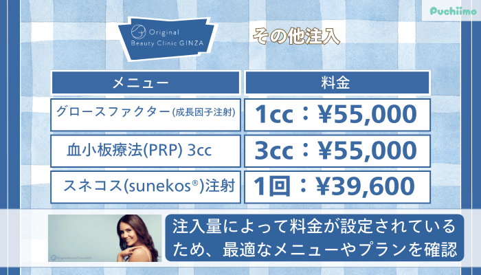 Original-Beauty-Clinic-GINZAその他注入
