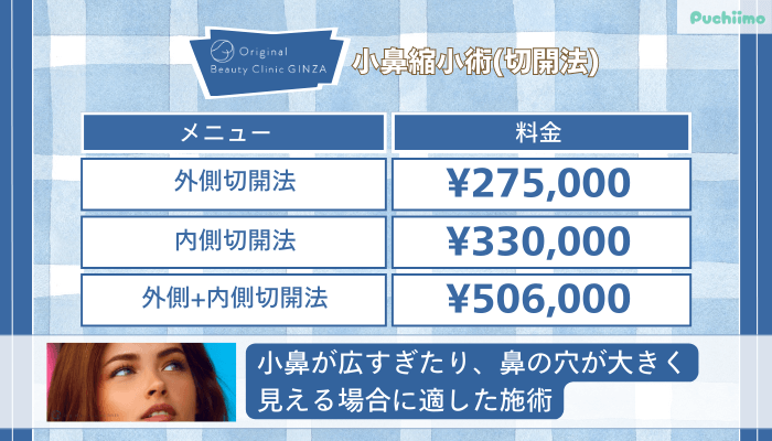 Original-Beauty-Clinic-GINZA小鼻縮小術切開法