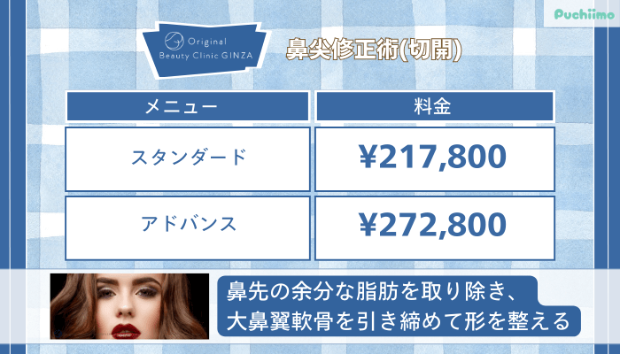 Original-Beauty-Clinic-GINZA鼻尖修正術切開