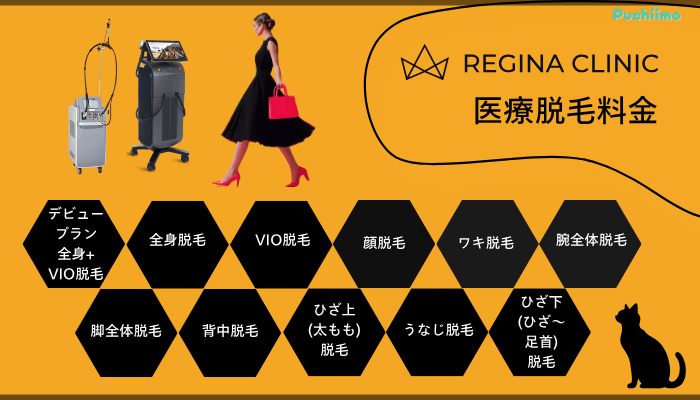 レジーナクリニック医療脱毛料金