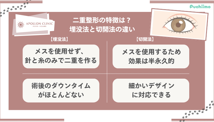 アポロンクリニック二重整形埋没法と切開法の違い