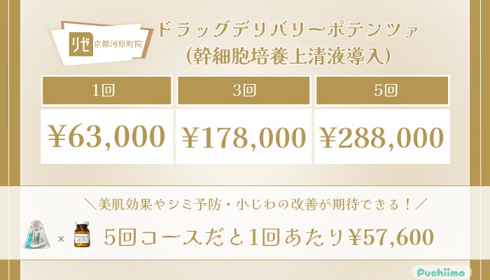 リゼクリニック京都河原町ドラッグデリバリーポテンツァ幹細胞培養上清液導入の料金