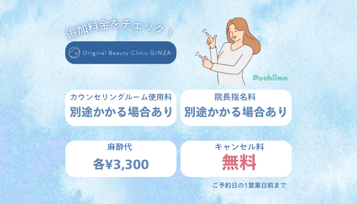 Original-Beauty-Clinic-GINZAハイフ追加料金