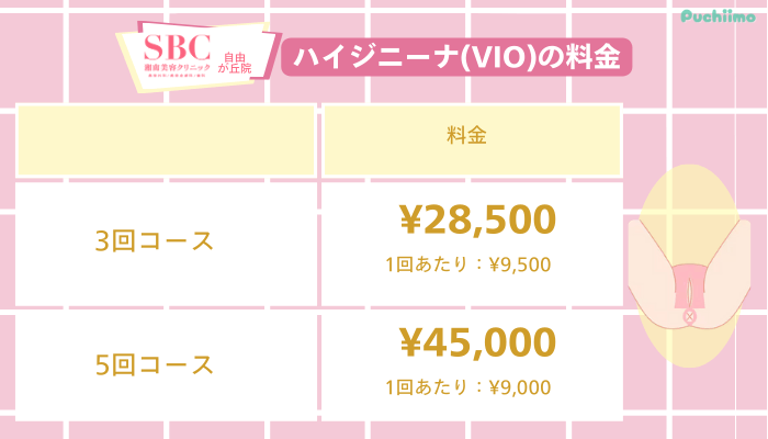 SBC自由が丘医療脱毛ハイジニーナVIO料金