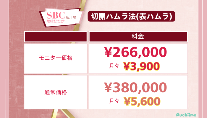 SBC品川クマ取り切開ハムラ法の料金